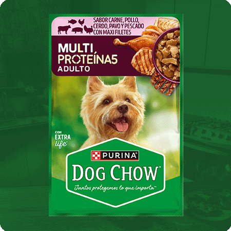 Alimento húmedo para perros Dog Chow Multi Proteína 5 Adulto con mix de proteínas