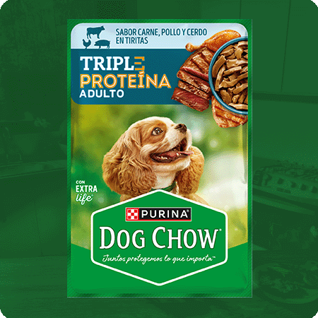Alimento húmedo para perros Dog Chow Triple Proteína Adulto con carne y cerdo
