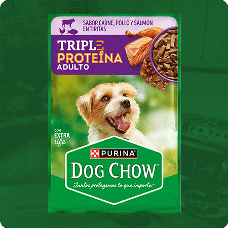 Alimento húmedo para perros Dog Chow Triple Proteína Adulto con carne y pollo