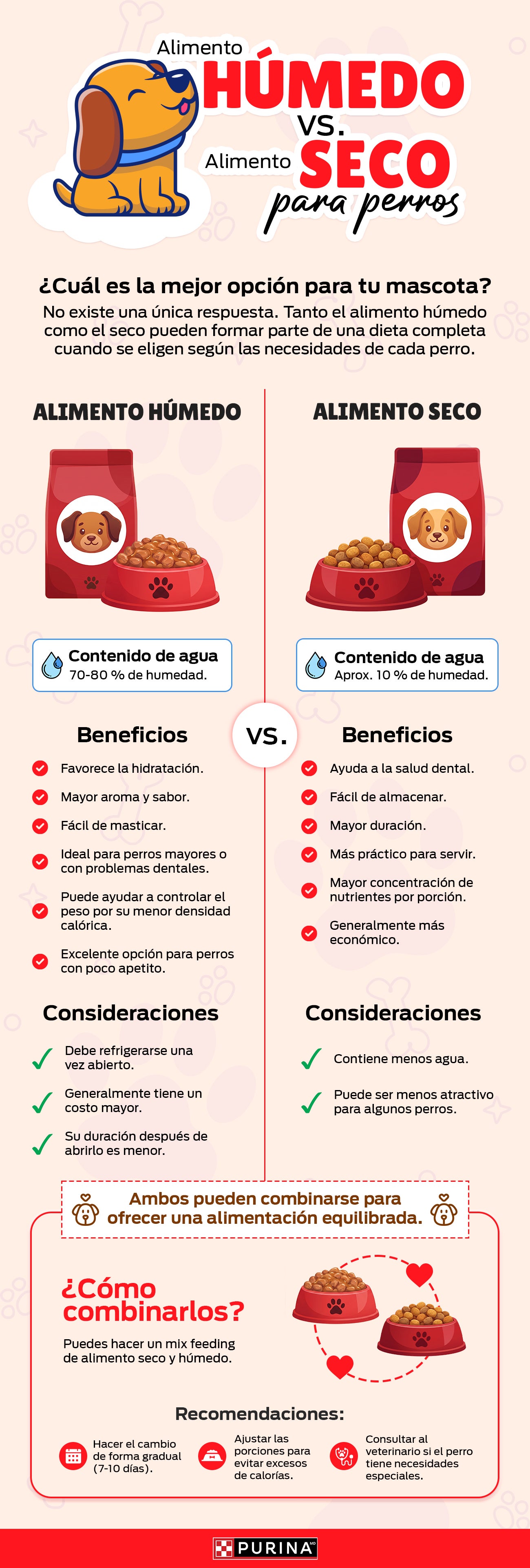 Alimento húmedo vs. seco para perros.