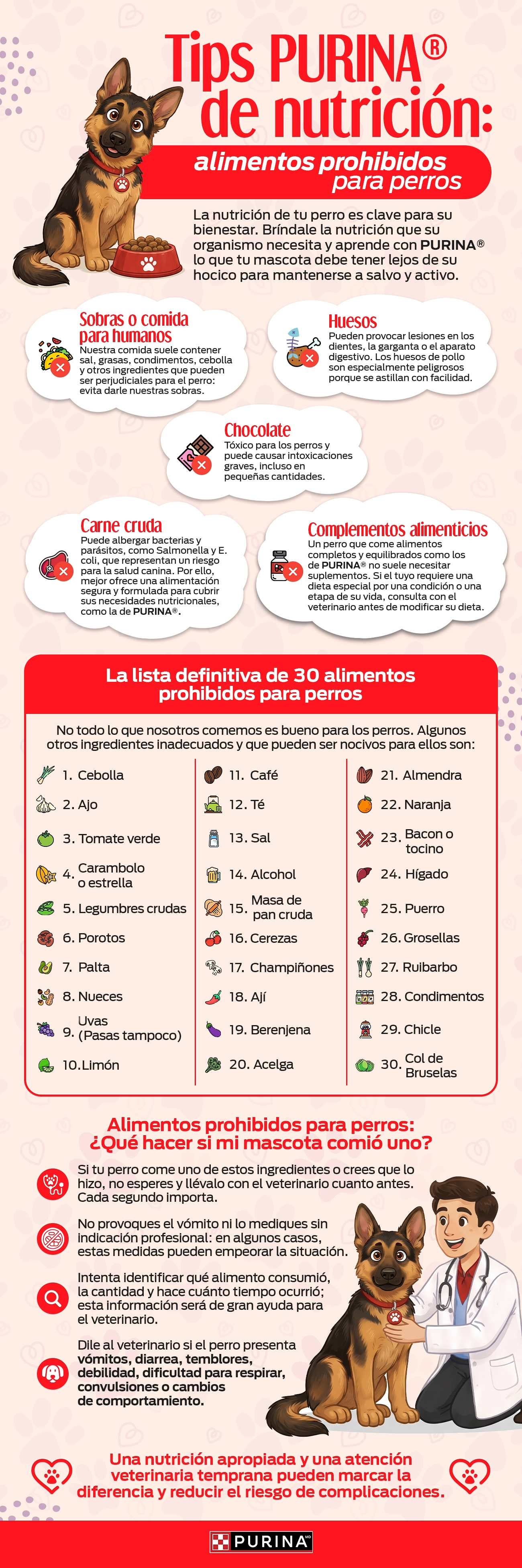 Conocé la lista definitiva de 30 alimentos prohibidos para perros en nuestra infografía PURINA®.