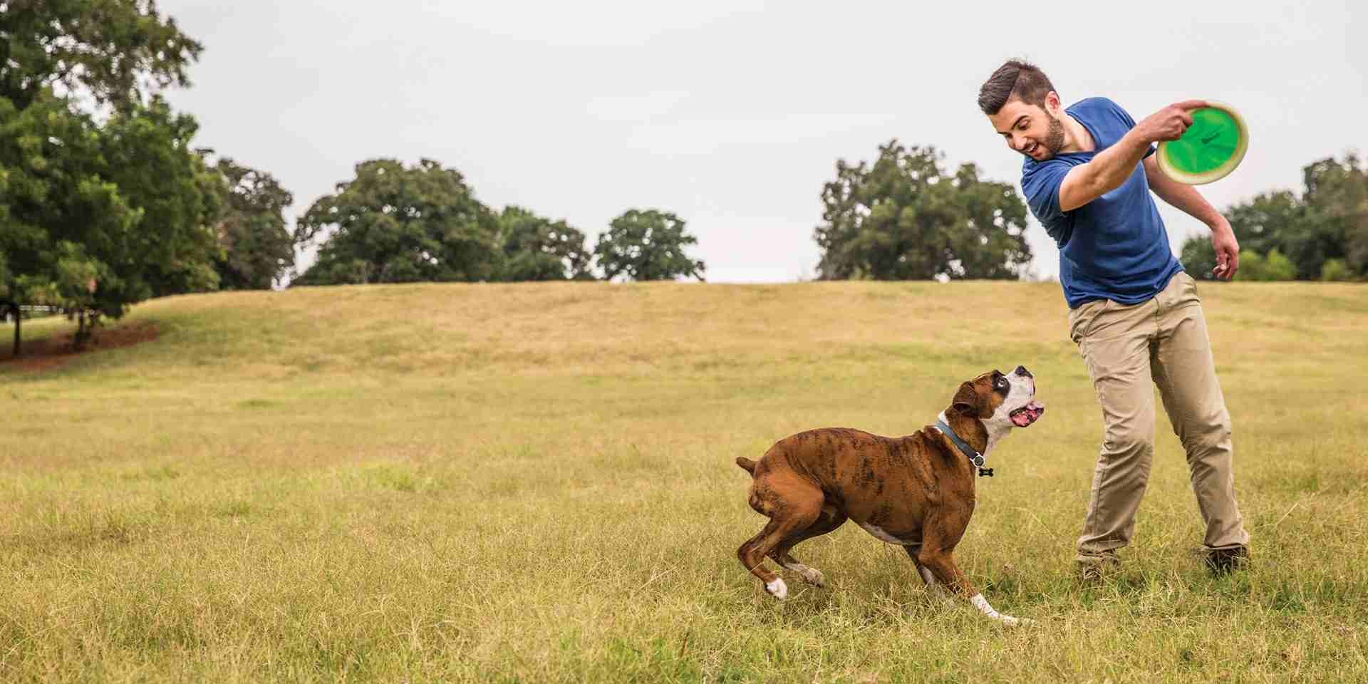 Comida casera para perros: para promover el bienestar canino, elegí fórmulas adecuadas para él. Tutor jugando con su perro.