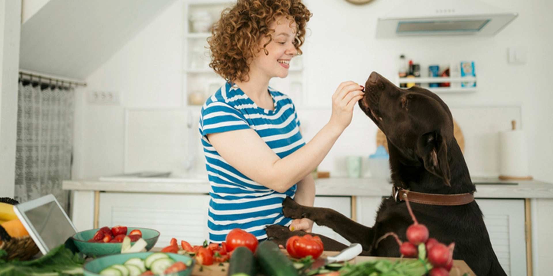 Comida casera para perros: consideraciones para una nutrición adecuada
