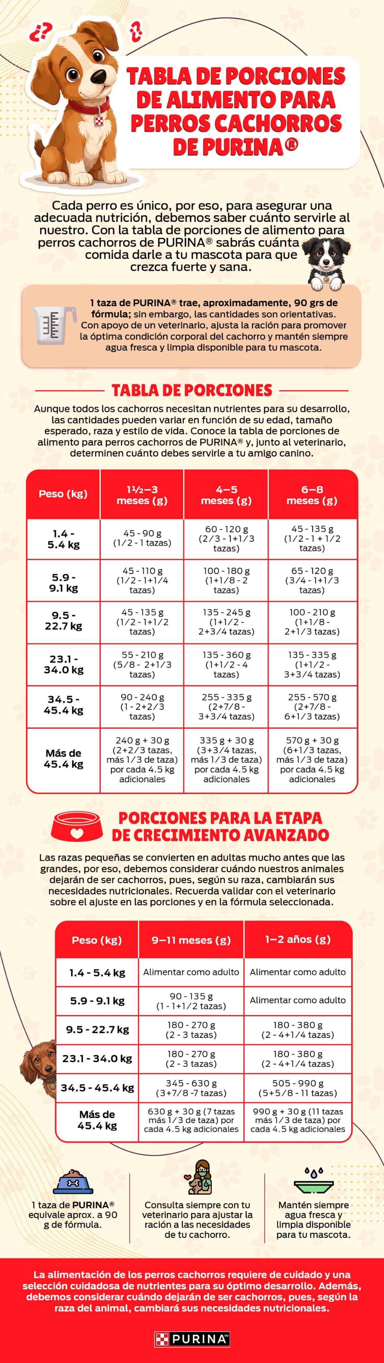 Infografía PURINA® con la tabla de porciones de alimentos para perros cachorros.