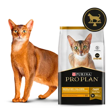 Purina%C2%AE-Proplan%C2%AE-Optifit.png.webp?itok=twnTu5QV