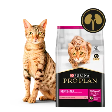 Purina%C2%AE-Proplan%C2%AE-Optirenal.png.webp?itok=i8xbEPJy