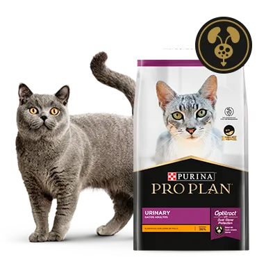 Purina%C2%AE-Proplan%C2%AE-Optritact.png.webp?itok=pP0f3ZZp