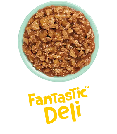 fantastic_deli_felix.png.webp?itok=tph1dfA8
