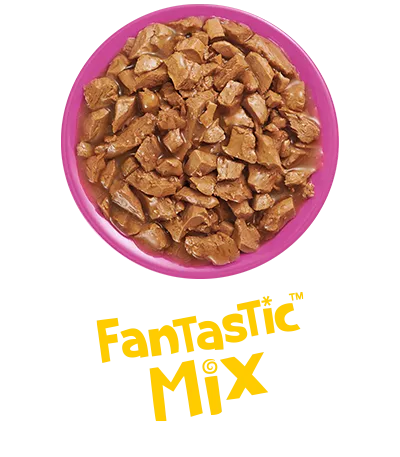 fantastic_mix_felix.png.webp?itok=Pcnm4tD9
