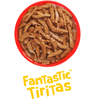 fantastic_tiritas_felix.png.webp?itok=SiIHuCpu