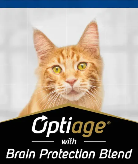 optiage_gato_pro_plan.jpg.webp?itok=5_sQ5czc