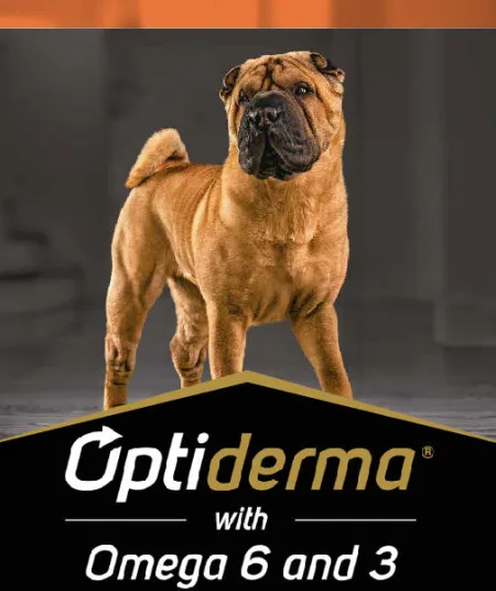 optiderma_perros_pro_plan.jpg.webp?itok=LraEyTOW