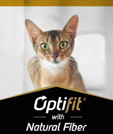 optifit_gato_pro_plan.jpg.webp?itok=SufFfzCh