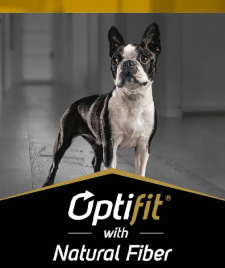 optifit_perros_pro_plan.jpg.webp?itok=ob0hGc6T