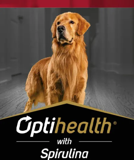 optihealth_perros_pro_plan.jpg.webp?itok=L3F9lEXJ