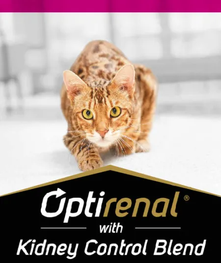 optirenal_gato_pro_plan.jpg.webp?itok=cvLzkKNM