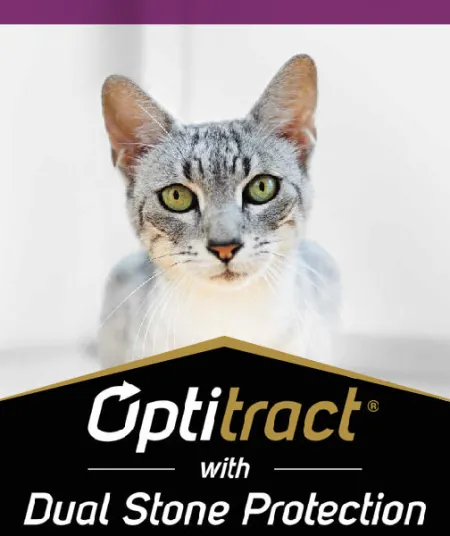 optitract_gato_pro_plan.jpg.webp?itok=3_YCBszh