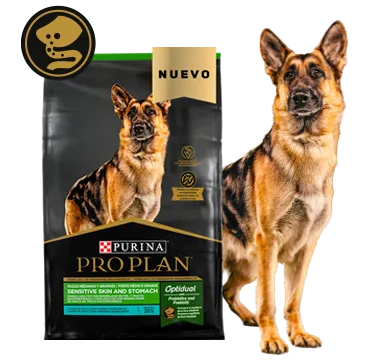 pro-plan-sensitive-skin-stomach-perros%20%281%29.png.webp?itok=ptQntjCl pro-plan-sensitive-skin-stomach-perros%20%281%29.png.webp?itok=ptQntjCl
