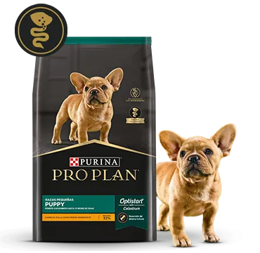 puppy_pro_plan.png.webp?itok=27umwf13 puppy_pro_plan.png.webp?itok=27umwf13