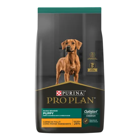 puppy_razas_grandes_front_por_plan.png.webp?itok=ZhpbrRwu puppy_razas_grandes_front_por_plan.png.webp?itok=ZhpbrRwu