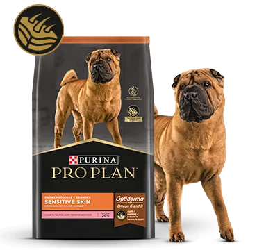 sensitive_skin_pro_plan.png.webp?itok=8ZohLnn1 sensitive_skin_pro_plan.png.webp?itok=8ZohLnn1