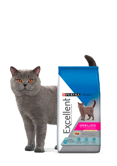 Excellent_gatos_esterilizados.png.webp?itok=s9rl9YAn