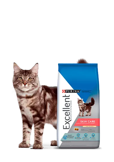Excellent_gatos_skin_care.png.webp?itok=ndvAwGl2
