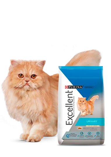 Excellent_gatos_urinary.png.webp?itok=P1gZhKgZ