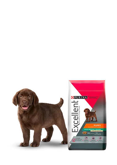 cachorro_pollo_arroz_razas_medianas_grandes_excellent.png.webp?itok=NRkhOXPe
