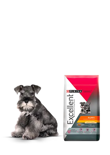 cachorro_pollo_y_arroz_excellent.png.webp?itok=heb8EQxX