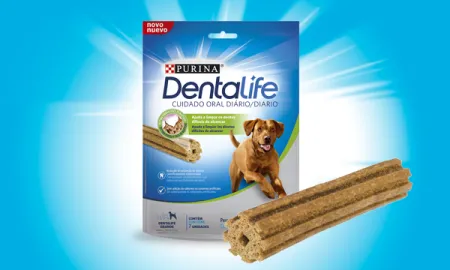 dentalife-perro-grande.png.webp?itok=kNB8dNlw