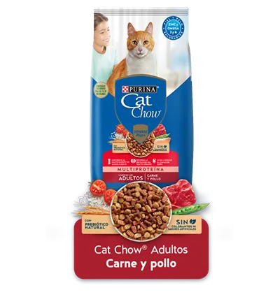 producto_carne_cat_chow.png.webp?itok=tArtJBjS