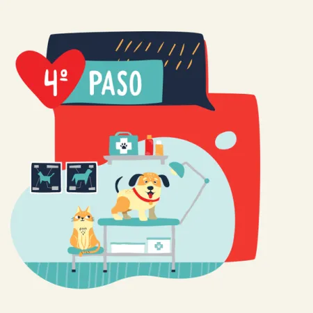 purina-adopta-4to-paso.png.webp?itok=6sl_HWdK purina-adopta-4to-paso.png.webp?itok=6sl_HWdK