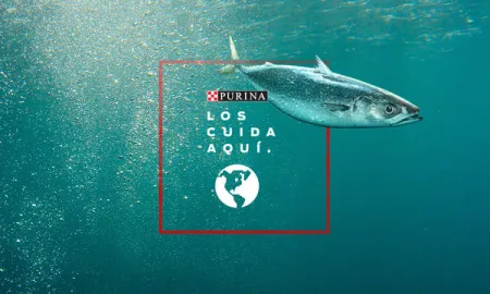 purina-los-cuida-aqui-ingredientes-de-fuentes-responsables.jpg.webp?itok=IThnXcx9 purina-los-cuida-aqui-ingredientes-de-fuentes-responsables.jpg.webp?itok=IThnXcx9