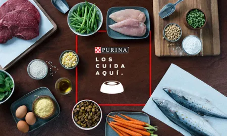 purina-los-cuida-aqui-ingredientes.jpg.webp?itok=i1HhAwnt