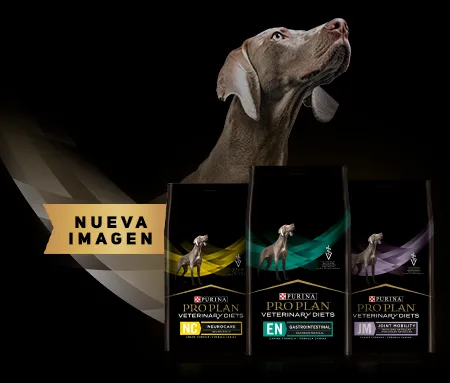 purina-pro-plan-veterinary-diets-cta-dog-product_0.jpg.webp?itok=o05YOeG9 purina-pro-plan-veterinary-diets-cta-dog-product_0.jpg.webp?itok=o05YOeG9