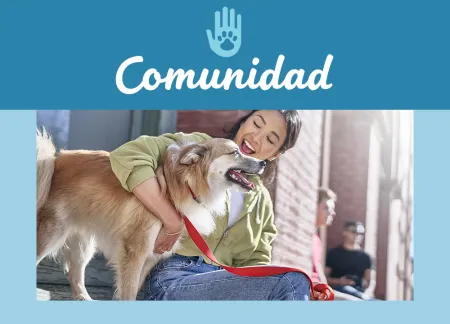 purina-img-community.jpg.webp?itok=D2zNoFng purina-img-community.jpg.webp?itok=D2zNoFng