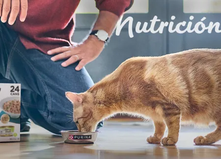 purina-img-cuidados-nutricion.jpg.webp?itok=ZmIiQ4WC