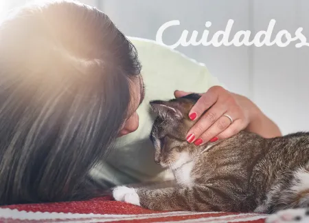 purina-img-cuidados.jpg.webp?itok=kkLiJvLh purina-img-cuidados.jpg.webp?itok=kkLiJvLh
