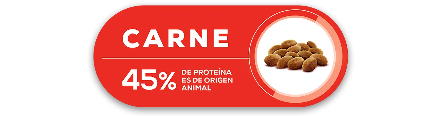 purina-bonelo-sin-colorantes-artificiales.png