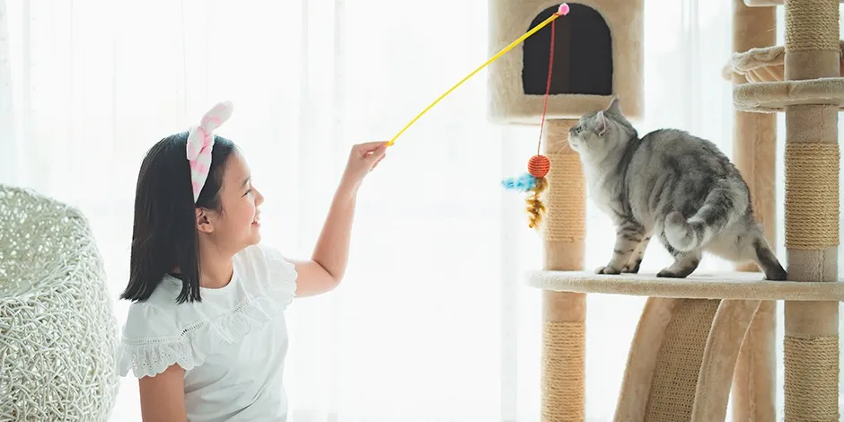 5-juegos-y-juguetes-para-gatos-adultos-manten-activa-a-tu-mascota-1.jpg