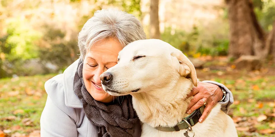 Aprendé cómo cuidar a un perro senior, como esta tutora con su labrador, y disfruten juntos al máximo.