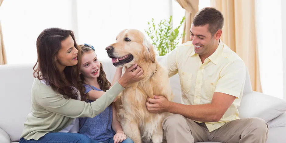 purina-que-tu-casa-sea-a-prueba-de-perros-cachorros.jpg