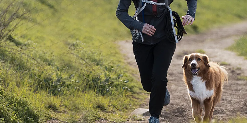 purina-correr-con-perro.png