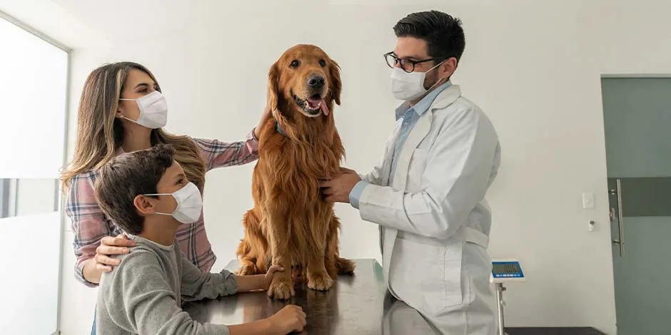 vacunas-para-tus-perros_0.jpg